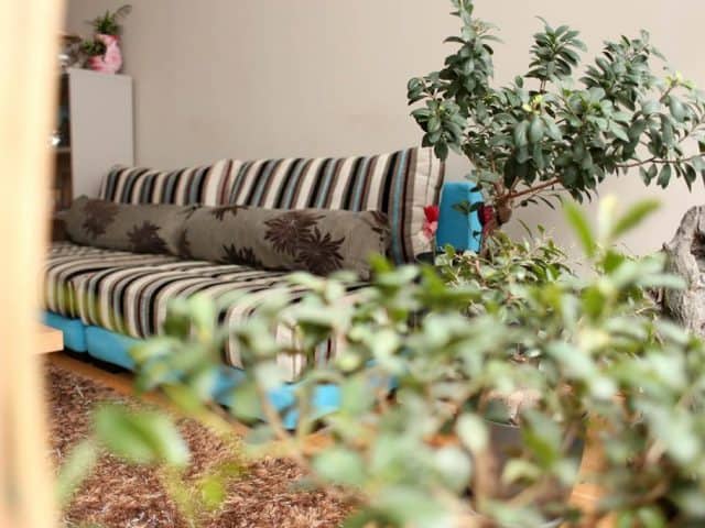 Anima | BASI Pilates Academy, Thessaloniki