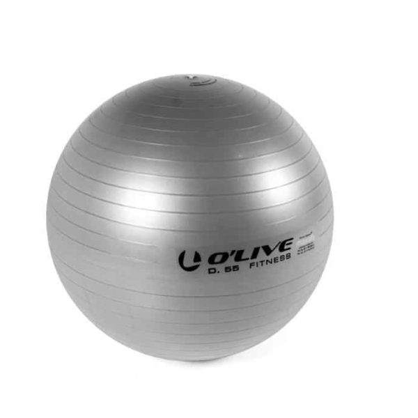 Μπάλα Fitness Ball