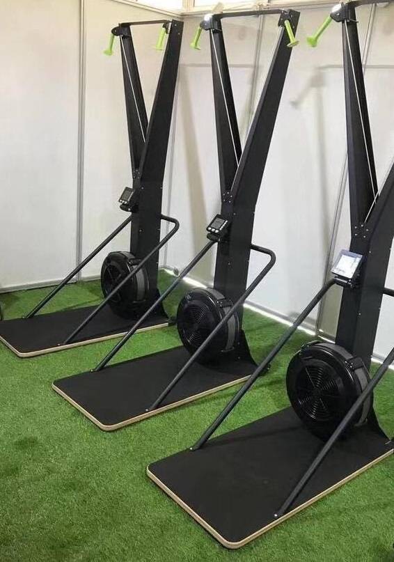 SkiErg_RealMotion_inspaceb SkiErg_RealMotion_inspaceb