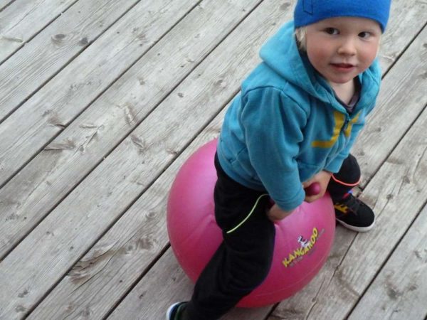 tempkangaroo_junior_junge-2zT007vVzWUkQ5_600x600@2x tempkangaroo_junior_junge-2zT007vVzWUkQ5_600x600@2x