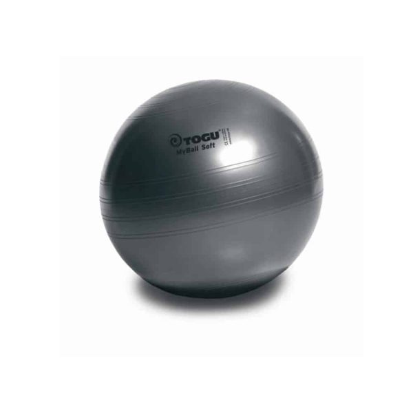 Μπάλα Fitball Powerball ABS 55cm