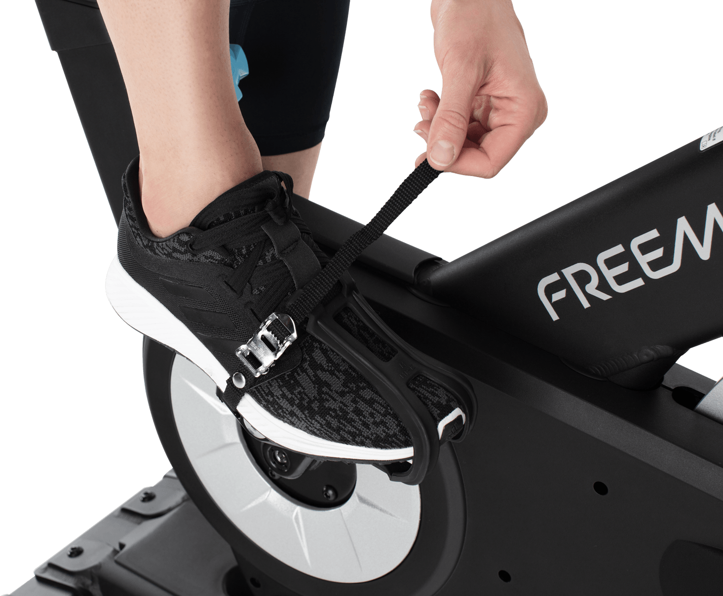 freemotion coach bike price