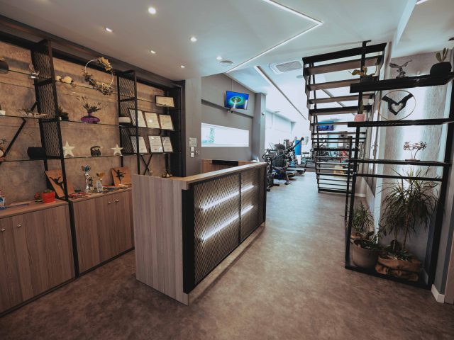 THERA Kinesis Lab | Larisa,