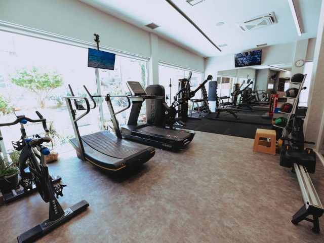 THERA Kinesis Lab | Larisa,