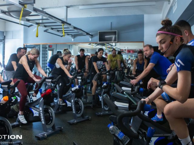 Stages University | Stages One Certification, January 2024