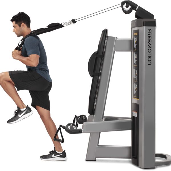 GD501-Profile-mt Large