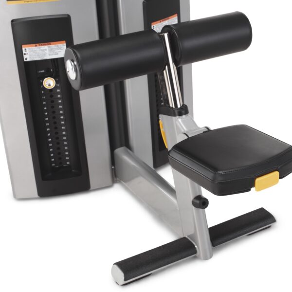 GD502-CloseUp Large GD502-CloseUp Large