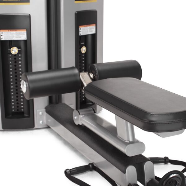 GD505-CloseUp Large GD505-CloseUp Large