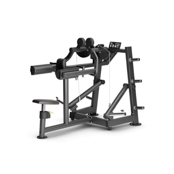 Plate Loaded Lateral Deltoids