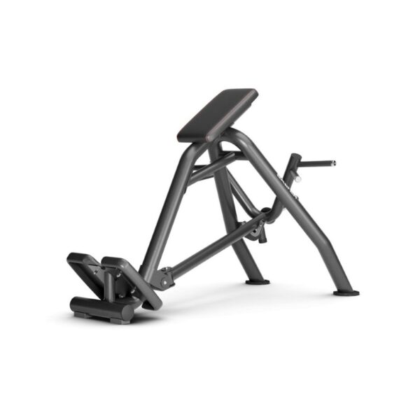 Plate Loaded T-Bar Row