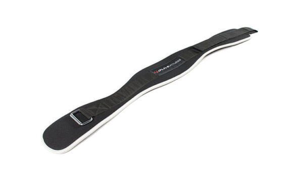 Lifting Belt