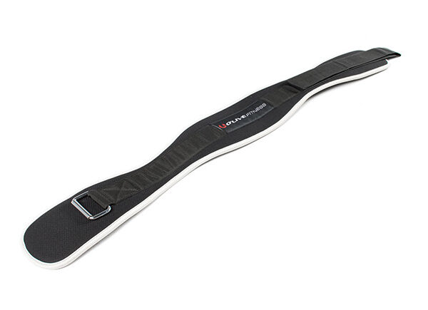 Weight Lifting Belt