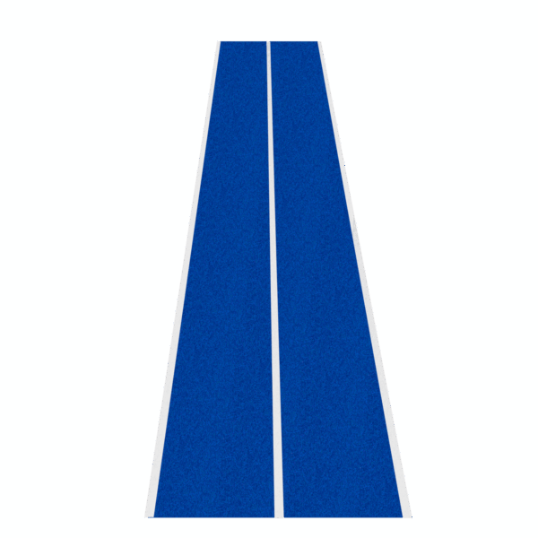 (3)