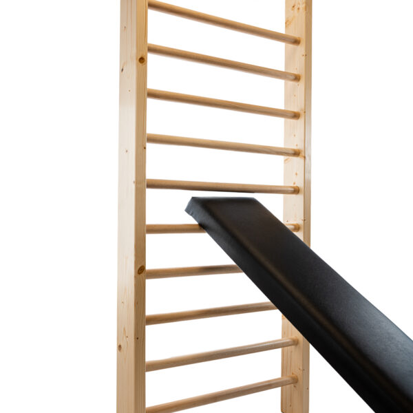Gymnastic Bench to Gym Ladder